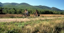 La Provence à vélo un itinéraire au cœur de ses paysages bucoliques