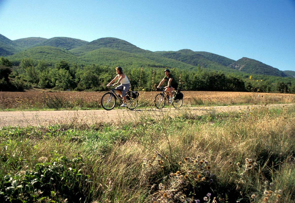 La Provence à vélo un itinéraire au cœur de ses paysages bucoliques