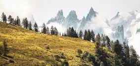 green trees on mountain under white sky during daytime