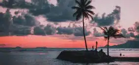 green island with coconut trees under gray skies