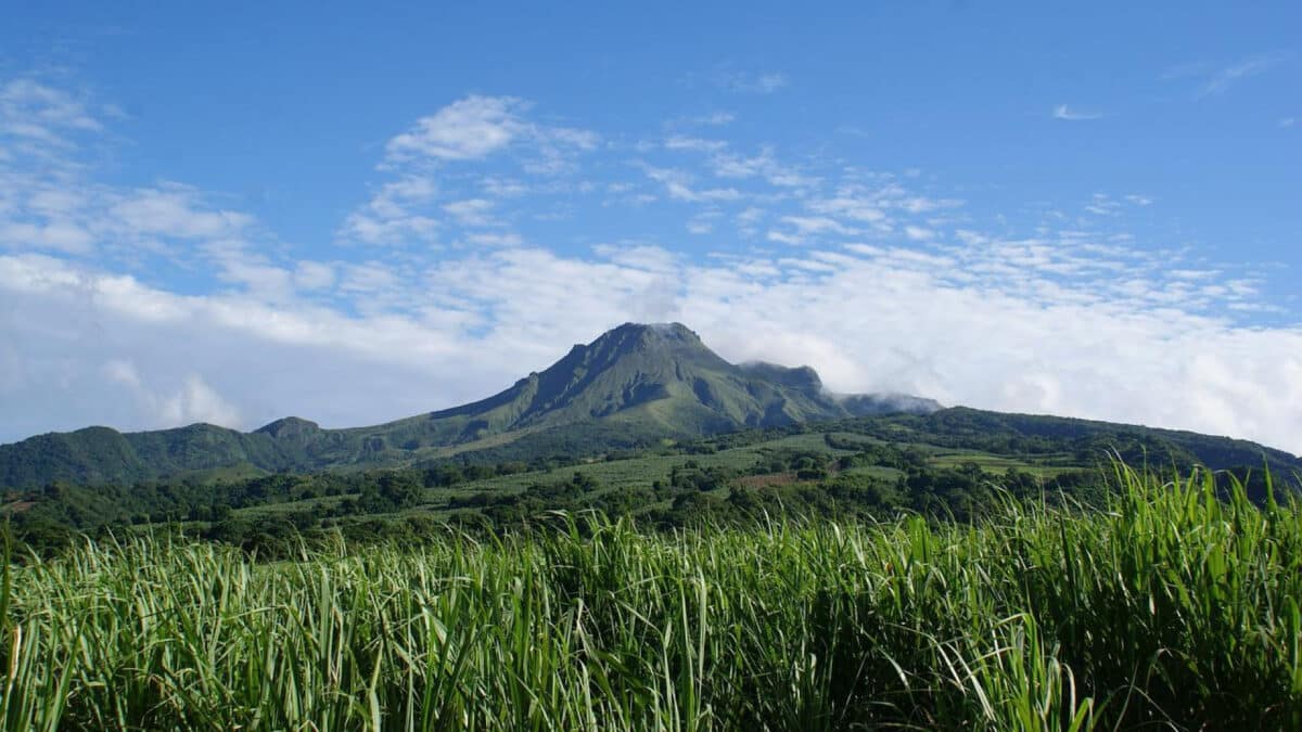 Location de voiture pas cher à Martinique : les astuces des pros !