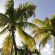 Séjourner sur l’île de Marie Galante en Guadeloupe : une expérience à vivre