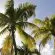 Séjourner sur l’île de Marie Galante en Guadeloupe : une expérience à vivre