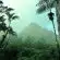 green palm trees near mountain during daytime